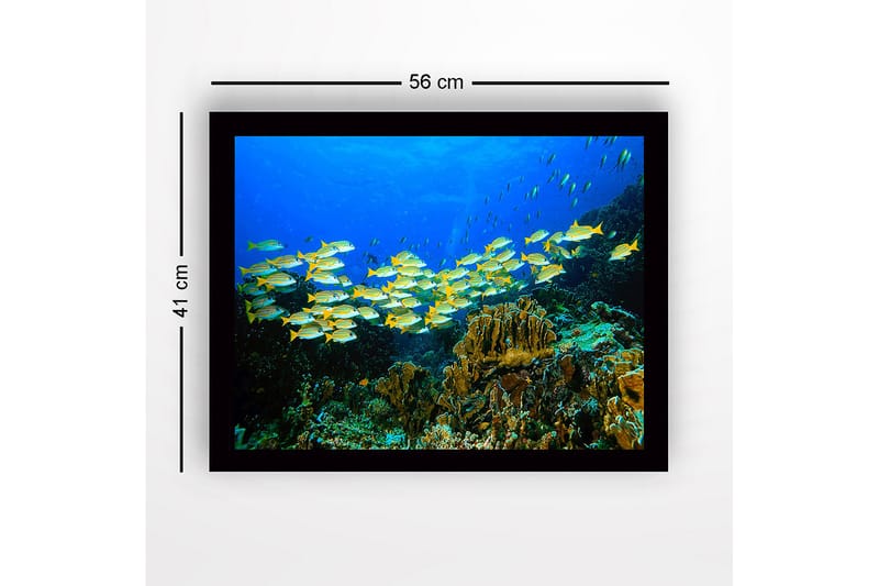 Inramad Canvastavla i trä - 41x56 cm - Flock av färgglada fiskar simmande i ett korallrev - Blå / Gul / Grön - Inredning & dekor - Tavlor & konst