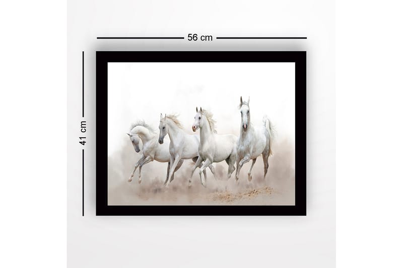 Inramad Canvastavla i trä - 41x56 cm - Fyrtal vita hästar i rörelse - Vit / Ljusgrå - Inredning & dekor - Tavlor & konst