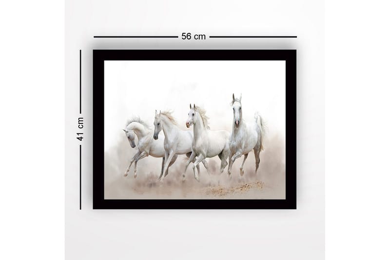 Inramad Canvastavla i trä - 41x56 cm - Fyrtal vita hästar i rörelse - Vit / Ljusgrå - Inredning & dekor - Tavlor & konst