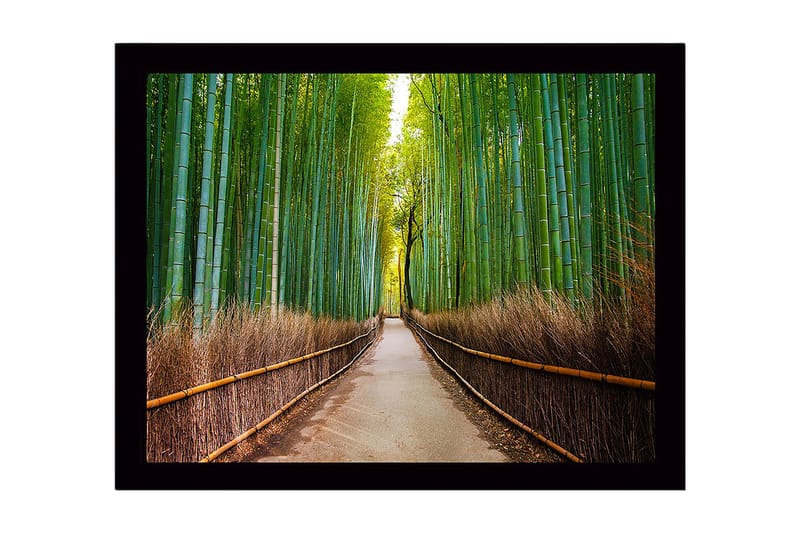 Inramad Canvastavla i trä - 41x56 cm - Grön bambuskog med en stig som leder genom träden, Grön / Brun