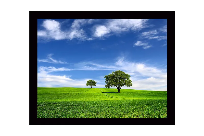 Inramad Canvastavla i trä - 41x56 cm - Grönskande landskap med två träd under en blå himmel, Grön / Blå