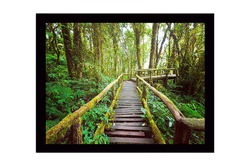Inramad Canvastavla i trä - 41x56 cm - Grönskande skogsstig med träbroar - Grön / Brun / Gulgrön - Inredning & dekor - Tavlor & konst