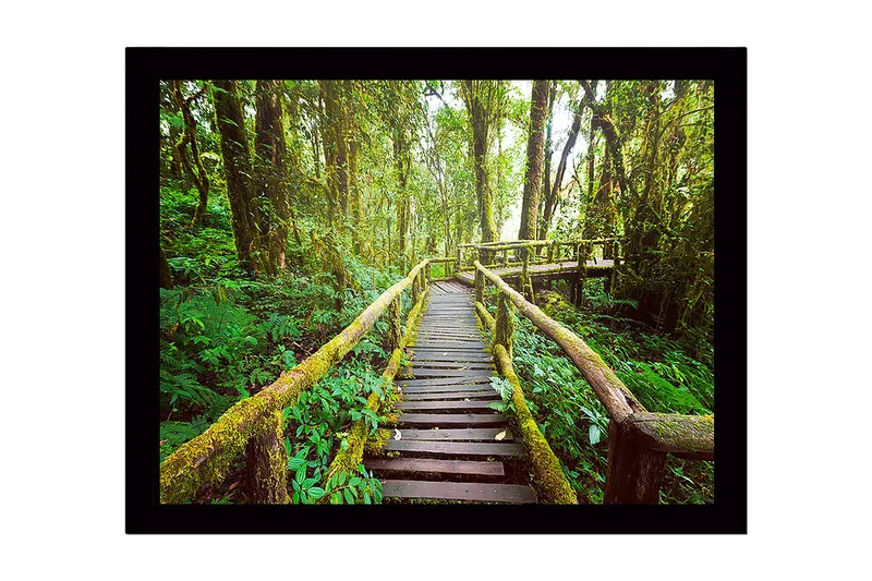 Inramad Canvastavla i trä - 41x56 cm - Grönskande skogsstig med träbroar - Grön / Brun / Gulgrön - Inredning & dekor - Tavlor & konst