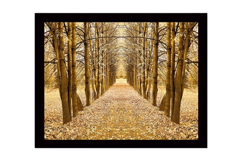 Inramad Canvastavla i trä - 41x56 cm - Gyllene allé av träd i höstskrud - Guld / Brun / Beige - Inredning & dekor - Tavlor & konst