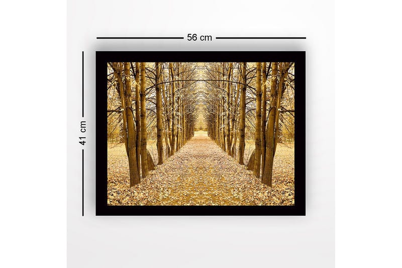 Inramad Canvastavla i trä - 41x56 cm - Gyllene allé av träd i höstskrud - Guld / Brun / Beige - Inredning & dekor - Tavlor & konst