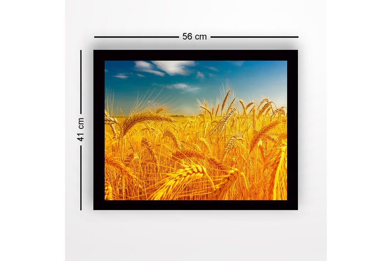 Inramad Canvastavla i trä - 41x56 cm - Gyllene vetefält under en klar himmel - Guld / Blå / Grön - Inredning & dekor - Tavlor & konst