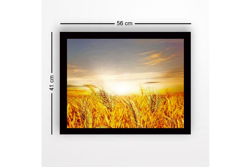 Inramad Canvastavla i trä - 41x56 cm - Gyllene vetefält under en soluppgång - Guld / Orange / Ljusblå - Inredning & dekor - Tavlor & konst