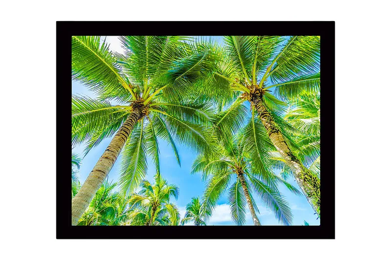 Inramad Canvastavla i trä - 41x56 cm - Höga palmer mot en klarblå himmel, Grön / Blå