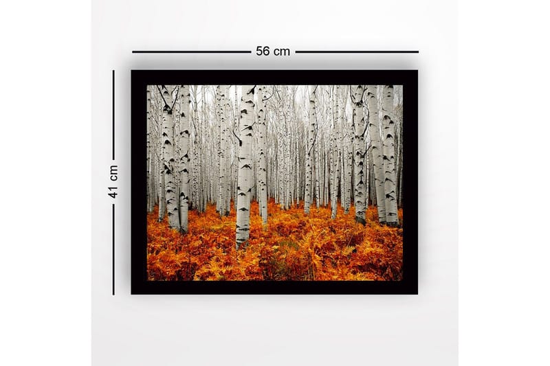 Inramad Canvastavla i trä - 41x56 cm - Höstlig skog med björkar och gyllene ormbunkar - Vit / Orange - Inredning & dekor - Tavlor & konst