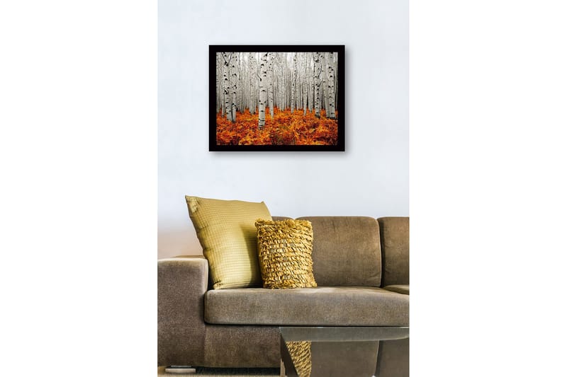 Inramad Canvastavla i trä - 41x56 cm - Höstlig skog med björkar och gyllene ormbunkar - Vit / Orange - Inredning & dekor - Tavlor & konst