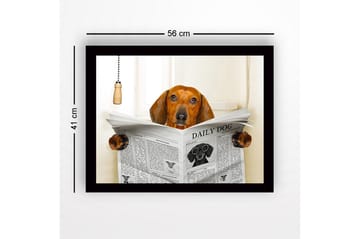 Inramad Canvastavla i trä - 41x56 cm - Hund som läser tidningen DAILY DOG - Brun / Svart / Vit - Inredning & dekor - Tavlor & konst