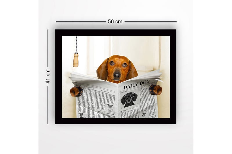 Inramad Canvastavla i trä - 41x56 cm - Hund som läser tidningen DAILY DOG - Brun / Svart / Vit - Inredning & dekor - Tavlor & konst