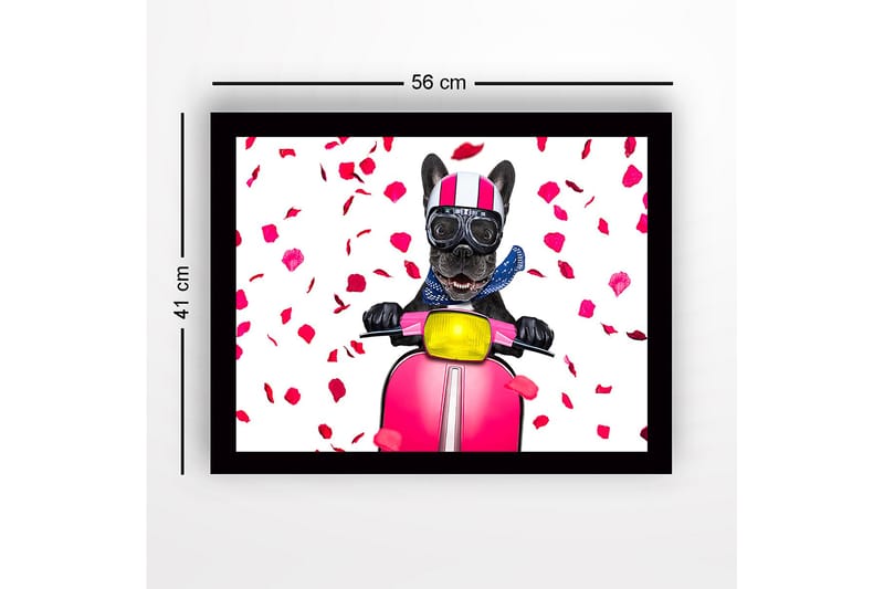 Inramad Canvastavla i trä - 41x56 cm - Hund på scooter med rosett av rosblad - Rosa / Svart / Gul - Inredning & dekor - Tavlor & konst