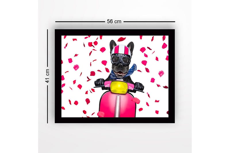 Inramad Canvastavla i trä - 41x56 cm - Hund på scooter med rosett av rosblad - Rosa / Svart / Gul - Inredning & dekor - Tavlor & konst