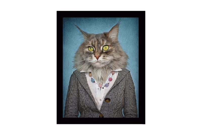 Inramad Canvastavla i trä - 41x56 cm - Katt med mänsklig klädsel och uttryckande ansiktsdrag - Grå / Blå / Gul - Inredning & dekor - Tavlor & konst