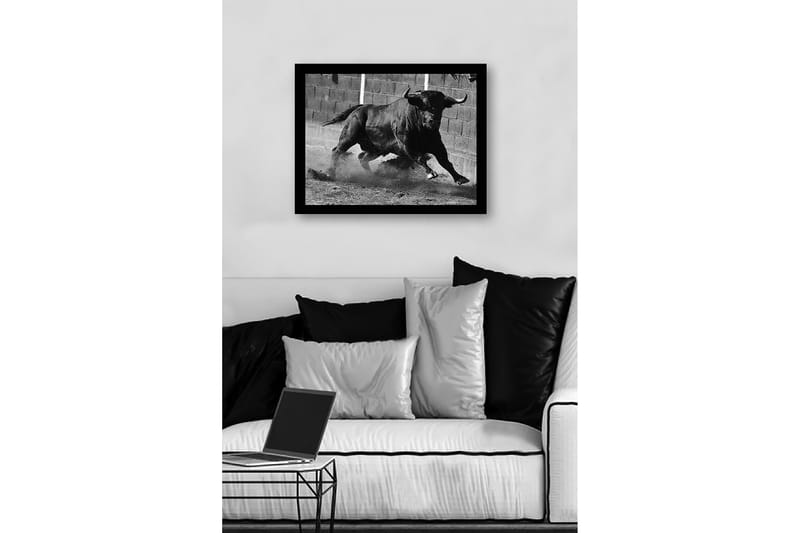 Inramad Canvastavla i trä - 41x56 cm - Kraftfull tjur i rörelse - Svart / Grå - Inredning & dekor - Tavlor & konst
