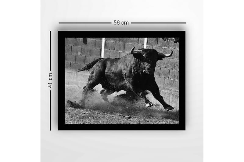 Inramad Canvastavla i trä - 41x56 cm - Kraftfull tjur i rörelse - Svart / Grå - Inredning & dekor - Tavlor & konst