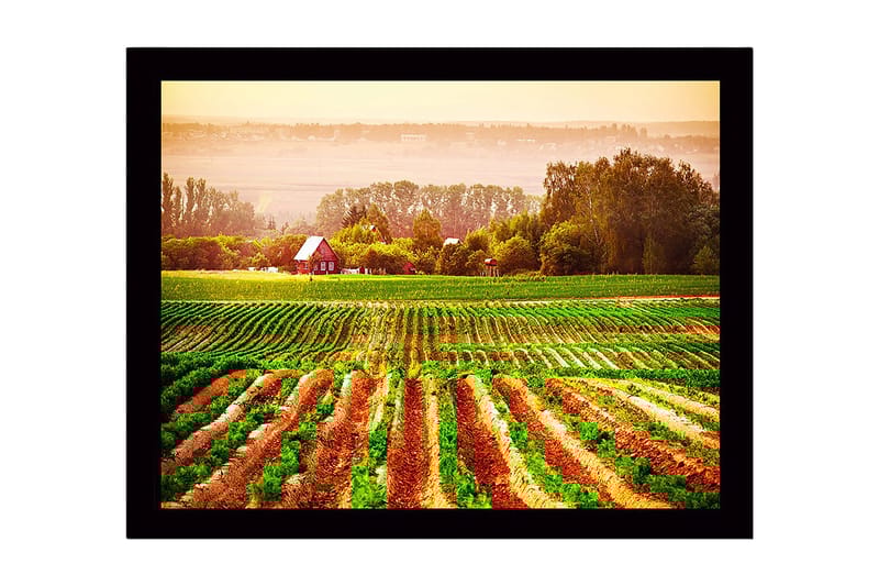 Inramad Canvastavla i trä - 41x56 cm - Lantlig scen med ett rött hus omgiven av gröna fält och plöjda åkrar - Grön / Orange / Röd - Inredning & dekor - Tavlor & konst