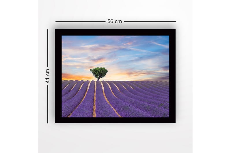 Inramad Canvastavla i trä - 41x56 cm - Lavendelfält med en ensam trädkrona i horisonten - Lila / Grön / Beige - Inredning & dekor - Tavlor & konst