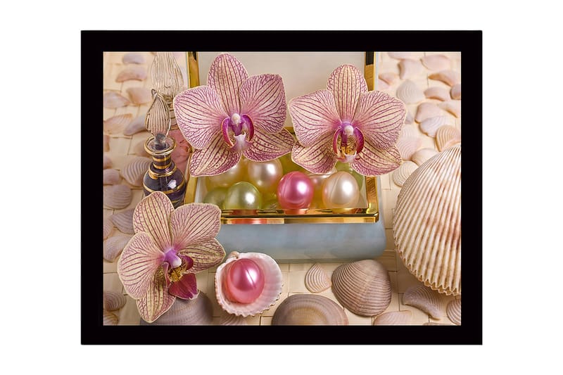 Inramad Canvastavla i trä - 41x56 cm - Ljuvliga orkidéer omgivna av pärlor och snäckor - Ljusrosa / Grön / Pärlvit - Inredning & dekor - Tavlor & konst