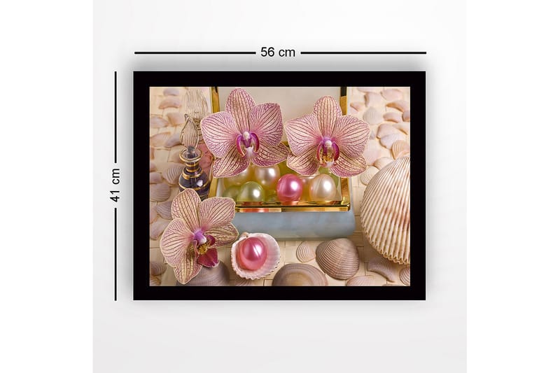 Inramad Canvastavla i trä - 41x56 cm - Ljuvliga orkidéer omgivna av pärlor och snäckor - Ljusrosa / Grön / Pärlvit - Inredning & dekor - Tavlor & konst
