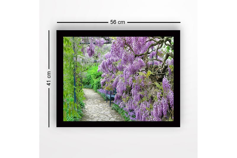 Inramad Canvastavla i trä - 41x56 cm - Lummig gång med blommande wisteria i lila nyanser - Lila / Grön - Inredning & dekor - Tavlor & konst