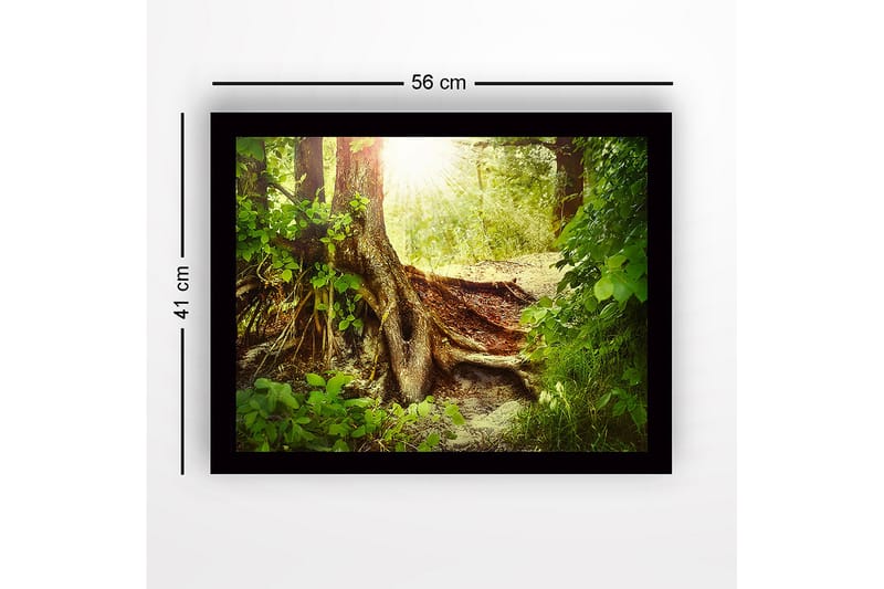 Inramad Canvastavla i trä - 41x56 cm - Lummig skog med en stor trädrot och solstrålar som sipprar genom lövverket - Grön / Brun / Gul - Inredning & dekor - Tavlor & konst