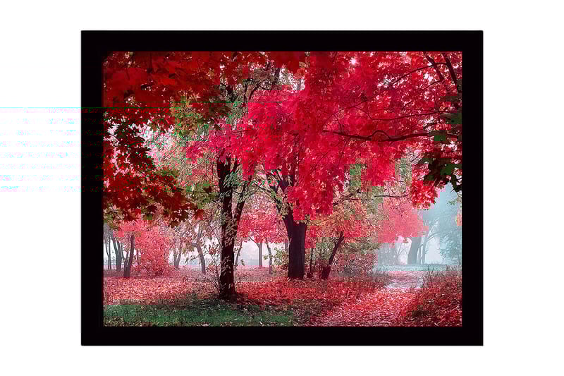 Inramad Canvastavla i trä - 41x56 cm - Lummig skog med sprakande röda höstlöv - Röd / Grön - Inredning & dekor - Tavlor & konst
