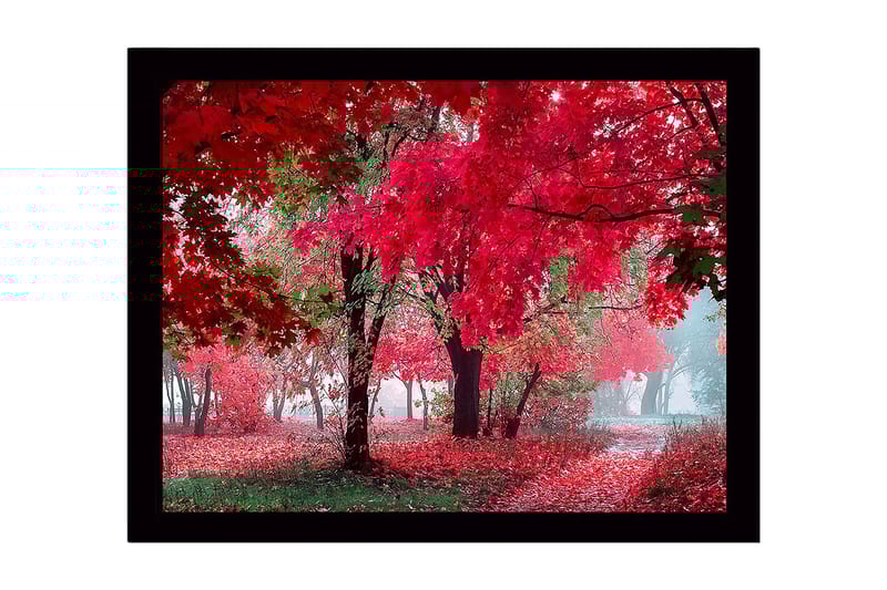 Inramad Canvastavla i trä - 41x56 cm - Lummig skog med sprakande röda höstlöv - Röd / Grön - Inredning & dekor - Tavlor & konst