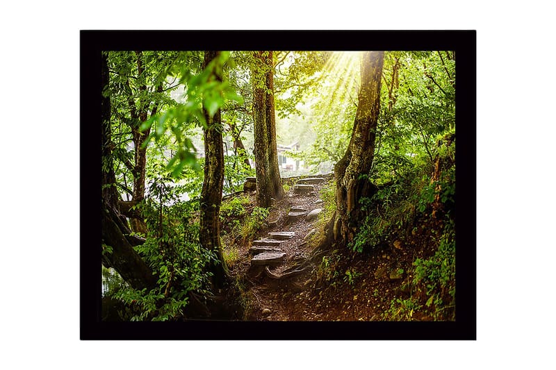 Inramad Canvastavla i trä - 41x56 cm - Lummig skogsstig med solstrålar som sipprar genom träden - Grön / Brun - Inredning & dekor - Tavlor & konst