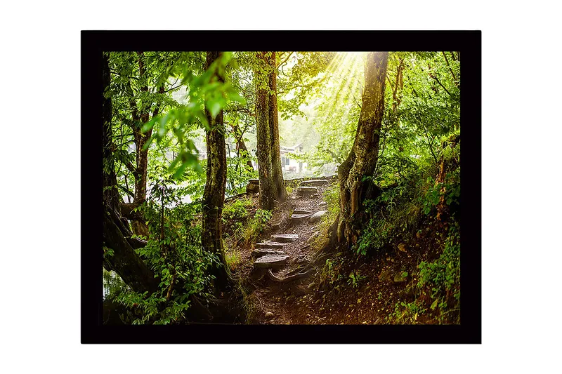 Inramad Canvastavla i trä - 41x56 cm - Lummig skogsstig med solstrålar som sipprar genom träden - Grön / Brun - Inredning & dekor - Tavlor & konst