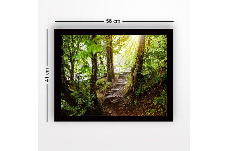 Inramad Canvastavla i trä - 41x56 cm - Lummig skogsstig med solstrålar som sipprar genom träden - Grön / Brun - Inredning & dekor - Tavlor & konst