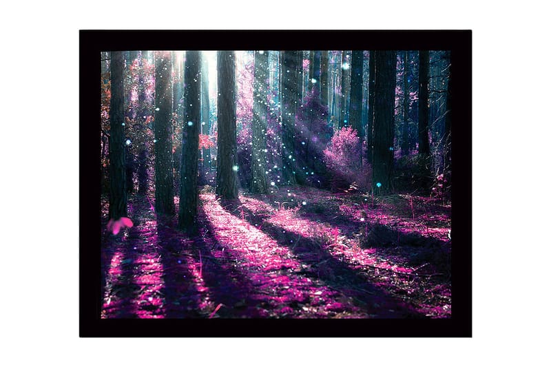 Inramad Canvastavla i trä - 41x56 cm - Mystisk skog med lila och blå ljusstrålar - Lila / Blå - Inredning & dekor - Tavlor & konst