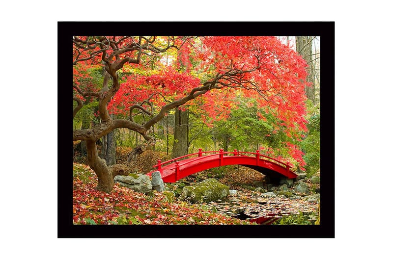 Inramad Canvastavla i trä - 41x56 cm - Röd bro omgiven av höstfärgade träd och löv - Röd / Grön / Brun - Inredning & dekor - Tavlor & konst