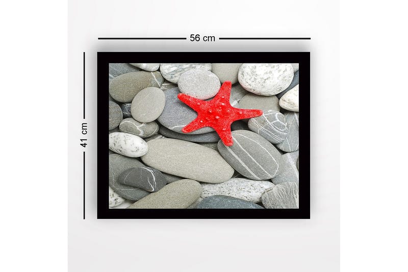 Inramad Canvastavla i trä - 41x56 cm - Röd sjöstjärna på en samling grå stenar - Grå / Röd - Inredning & dekor - Tavlor & konst