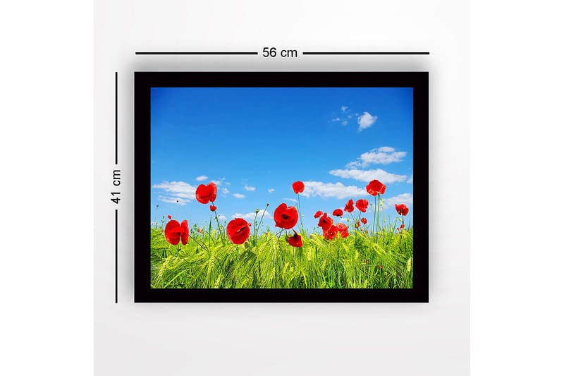 Inramad Canvastavla i trä - 41x56 cm - Röd vallmo i en grön äng under en klarblå himmel - Röd / Grön / Blå - Inredning & dekor - Tavlor & konst