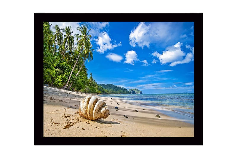 Inramad Canvastavla i trä - 41x56 cm - Snäckskal på en solig strand med palmer i bakgrunden, Blå / Grön / Beige