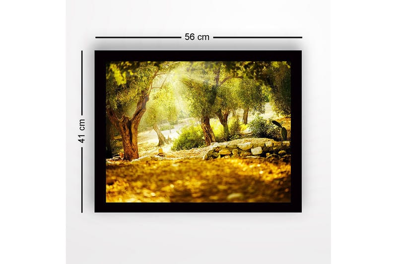 Inramad Canvastavla i trä - 41x56 cm - Solbelyst skog med olivträd - Grön / Guld / Brun - Inredning & dekor - Tavlor & konst