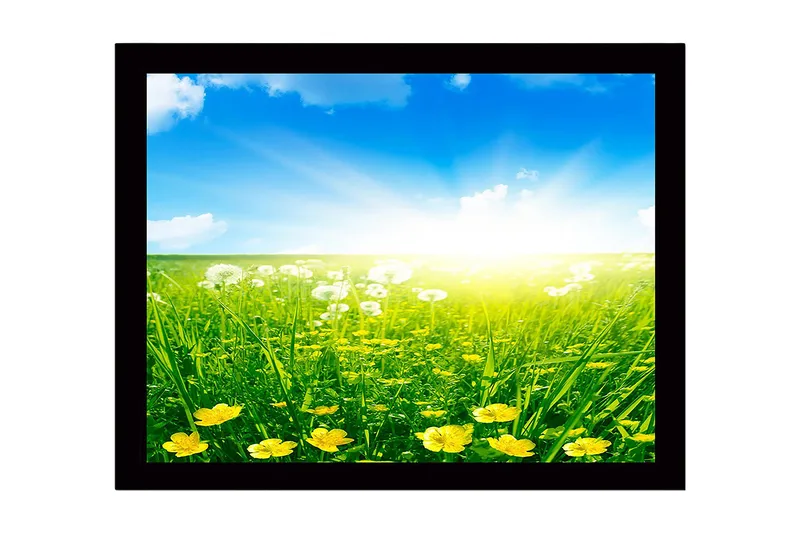 Inramad Canvastavla i trä - 41x56 cm - Solig äng med gula blommor och grönt gräs, Gult / Grönt / Blått