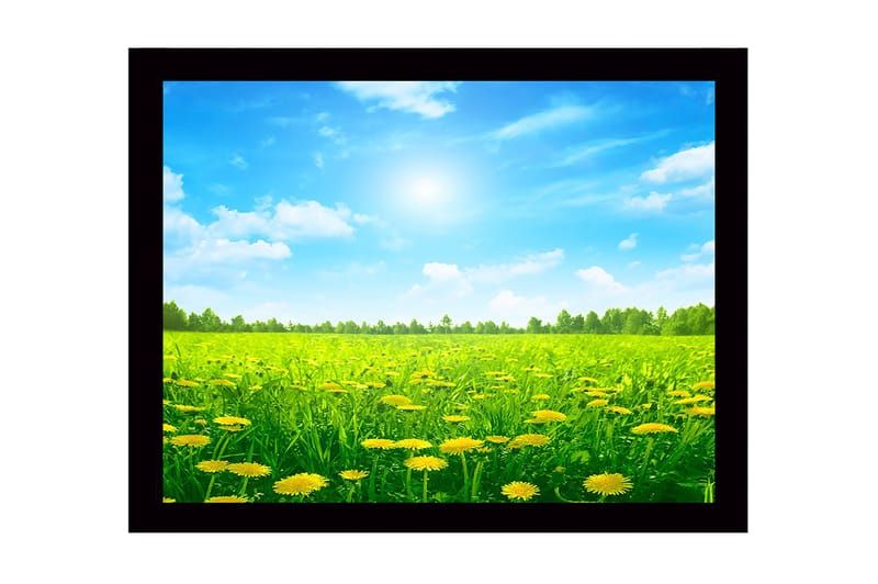 Inramad Canvastavla i trä - 41x56 cm - Solig äng med maskrosor i blomning - Grön / Gul / Blå - Inredning & dekor - Tavlor & konst