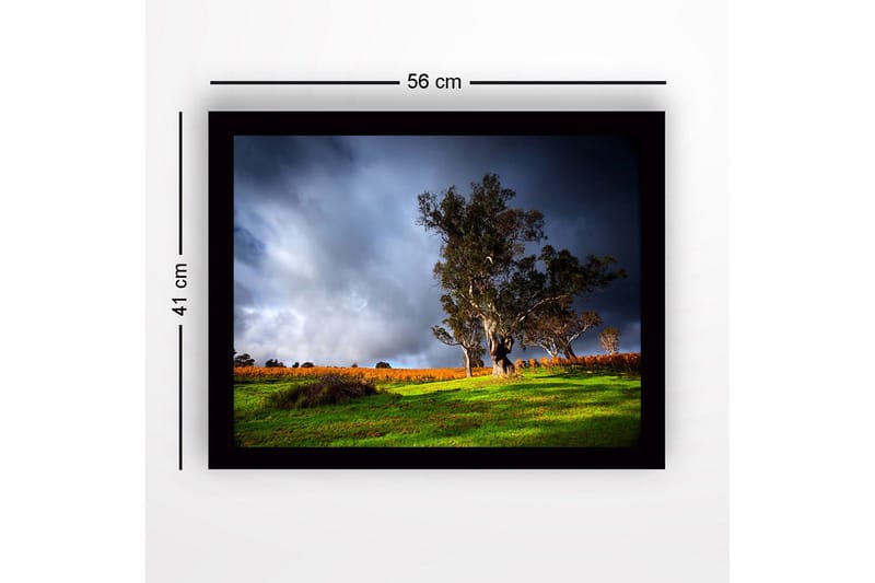 Inramad Canvastavla i trä - 41x56 cm - Ståtlig ek i en dramatisk landskapsmiljö - Mörkgrön / Grå / Orange - Inredning & dekor - Tavlor & konst