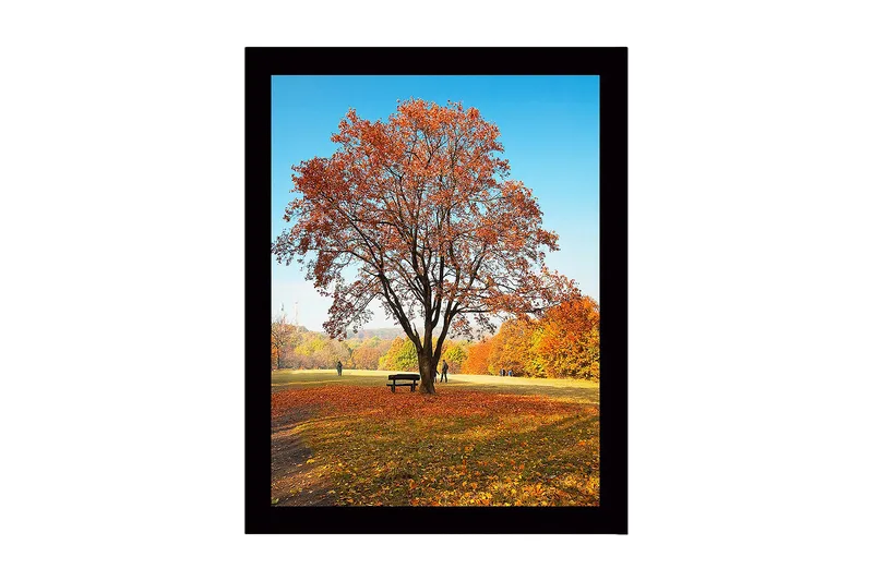 Inramad Canvastavla i trä - 41x56 cm - Ståtlig höstträd med färgglada löv, Orange / Gult / Brunt