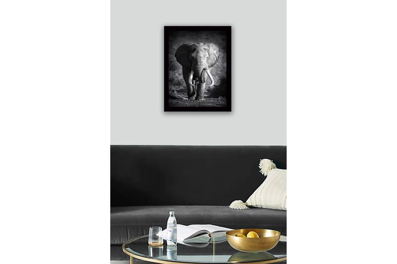 Inramad Canvastavla i trä - 41x56 cm - Storslagen elefant i majestätisk pose - Svart / Grå - Inredning & dekor - Tavlor & konst