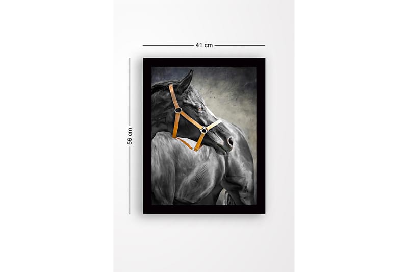 Inramad Canvastavla i trä - 41x56 cm - Svart häst med en orange grimma i profil - Svart / Orange / Grå - Inredning & dekor - Tavlor & konst