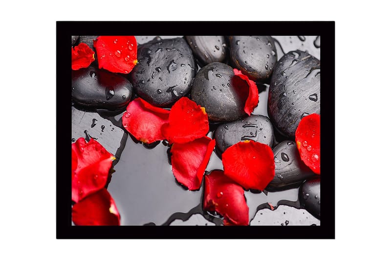 Inramad Canvastavla i trä - 41x56 cm - Svart stenar med röda rosenblad och vattendroppar - Röd / Svart - Inredning & dekor - Tavlor & konst