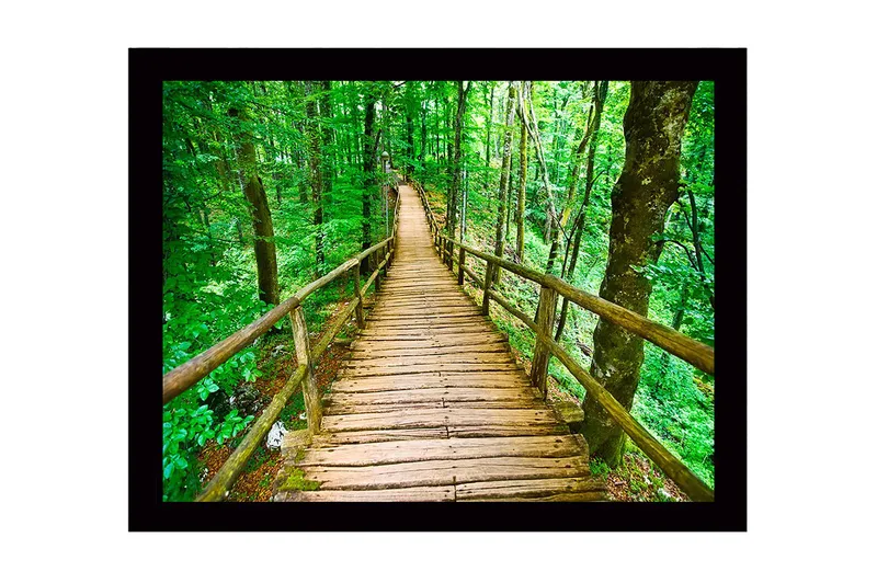 Inramad Canvastavla i trä - 41x56 cm - Träbro som slingrar sig genom en grönskande skog, Grön / Brun