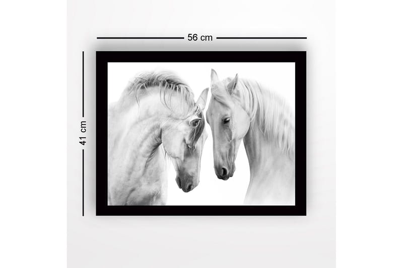 Inramad Canvastavla i trä - 41x56 cm - Två majestätiska hästar som lutar sina huvuden mot varandra - Vit / Grå - Inredning & dekor - Tavlor & konst