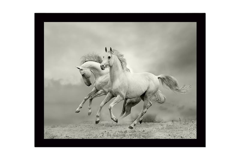 Inramad Canvastavla i trä - 41x56 cm - Två vita hästar som galopperar framåt i en dramatisk miljö - Vit / Grå - Inredning & dekor - Tavlor & konst