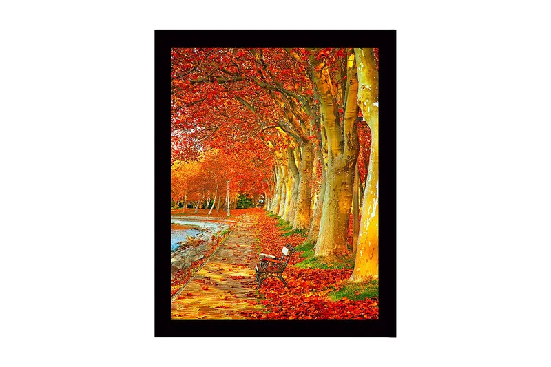 Inramad Canvastavla i trä - 41x56 cm - Vacker allé med höstfärgade träd och en bänk längs en promenadväg, Orange / Guld / Grön