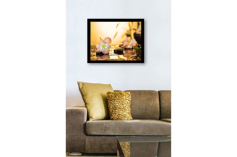 Inramad Canvastavla i trä - 41x56 cm - Vacker blomma med droppar av vatten på stenar - Rosa / Grön / Gul - Inredning & dekor - Tavlor & konst